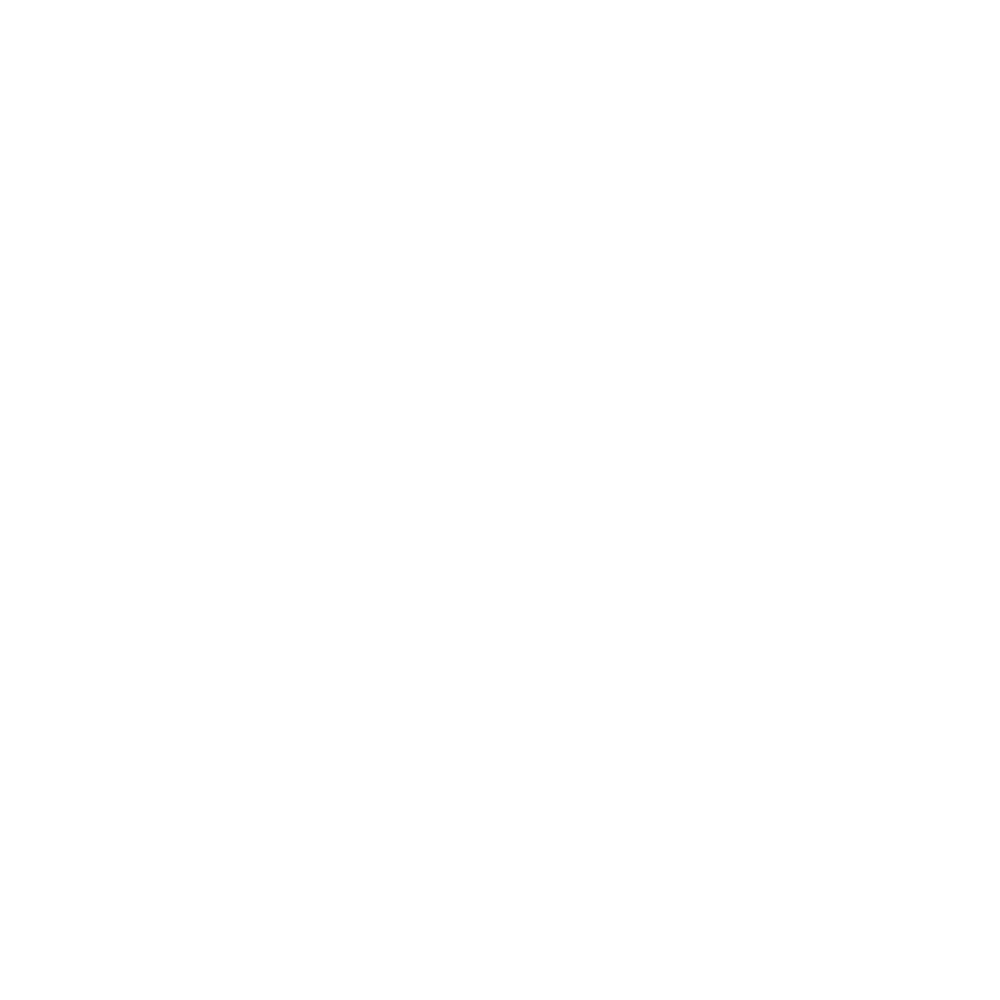 A document icon