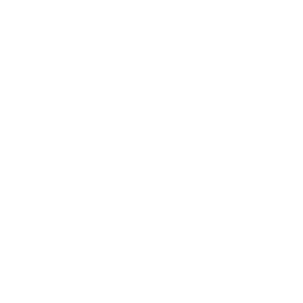 a network icon